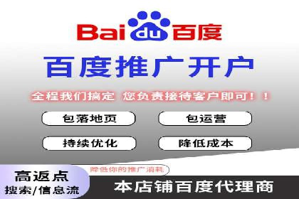 百度竞价运营的挑战与机遇：成功案例探讨